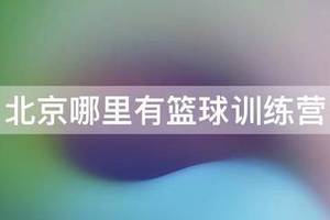 大兴巅峰篮球训练营费用